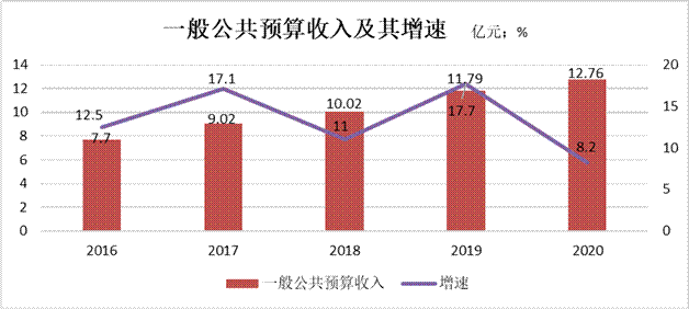 臨湘市2020年國民經濟和社會發展統計公報