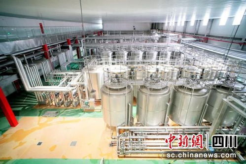 引領產業發展 雪花啤酒助推涼山經濟增長