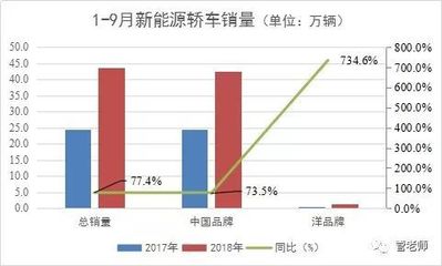 中國品牌新能源會否失守?
