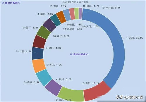 2024上半年gdp出爐,襄陽跳水武漢失速,湖北省17市,全面放緩 網易訂閱