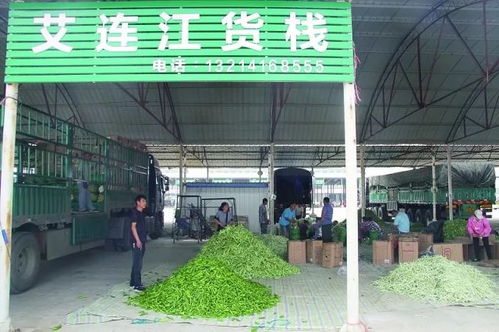 遼寧農產品交易集團 鄉村振興中的供銷力量