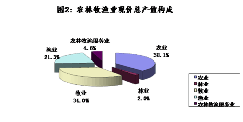 新建區(qū)2019年國民經(jīng)濟(jì)和社會(huì)發(fā)展統(tǒng)計(jì)公報(bào)