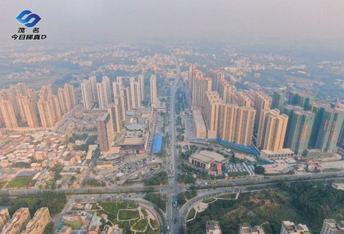 茂名油十路口改造前期采購結果出爐,東環大道勘察設計招標結束