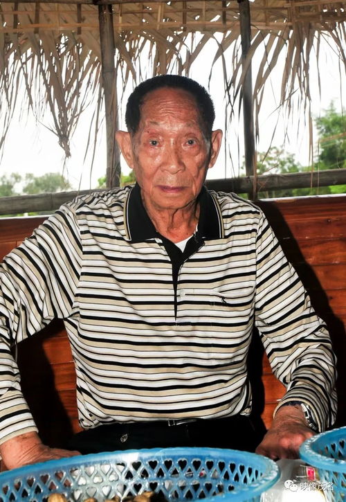 緬懷袁隆平,茂名記得您留下的足跡和深情