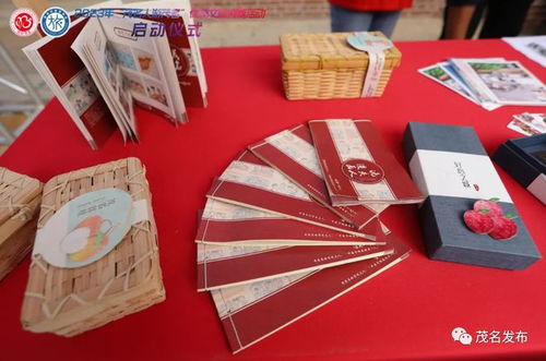 首發團出發啦 2023年 茂名人游茂名 活動啟動