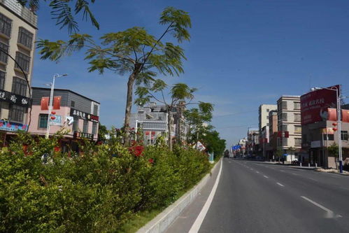 電白沙瑯 投入3億打造 精品小城市