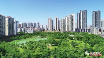 茂名 大地植綠 心中播綠 生活在茂名你感受到新變化嗎