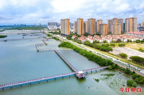 電白農(nóng)村人均可支配收入,居茂名市縣區(qū)級(jí)第一
