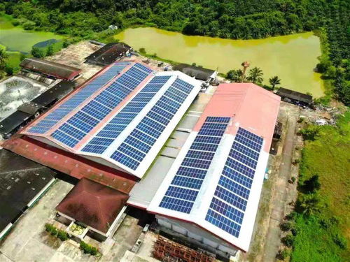 屋頂蕩漾 藍色海 ,陽光變身 綠色電