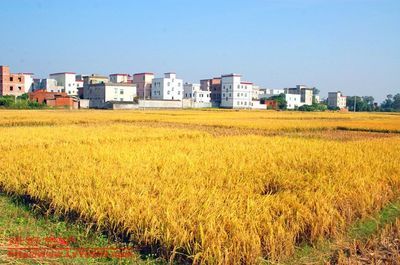 二千沙龍社區-[轉帖][貼圖]茂名風光之山水