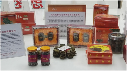 化橘紅產業企業入駐茂名“國家級科技企業孵化器”