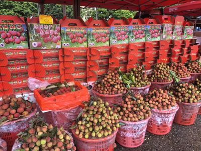 吃龍蝦,品荔枝…小朋友們樂了,福田農批“紅”了!