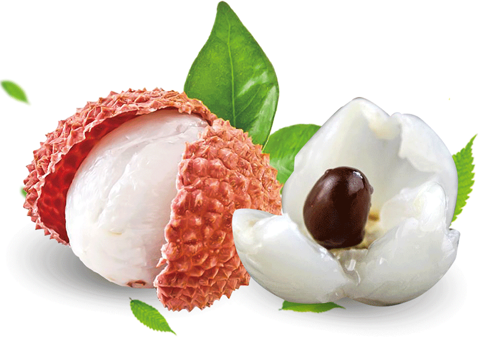 茂名及早謀劃,“荔枝定制”助推荔枝產業高質量發展!