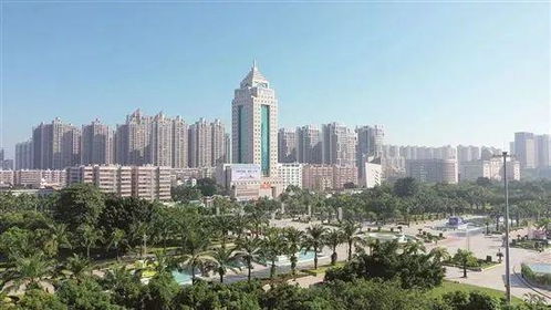 茂名市城管局調研報告 構建 大城管 格局,打造 高品質 城市