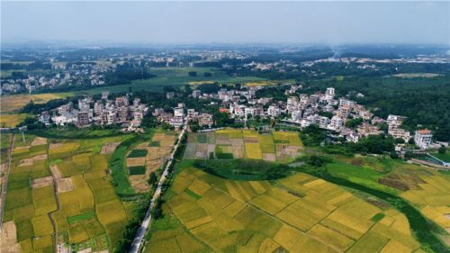 向著紅色的茂名進發(fā)