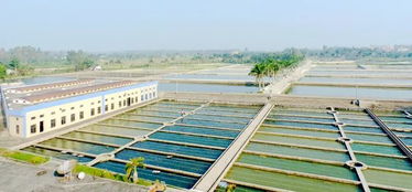 廣東農業(yè)品牌經營主體發(fā)展如何 一篇話你知