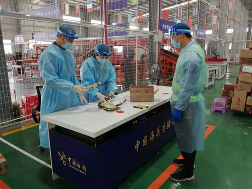 茂名海關嚴打象牙制品走私，今年以來查獲4起案件