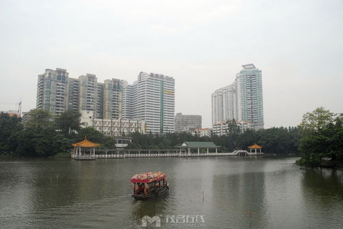 茂名佬游廣州荔灣湖公園