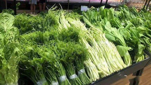 茂名主要商品價格變動周報