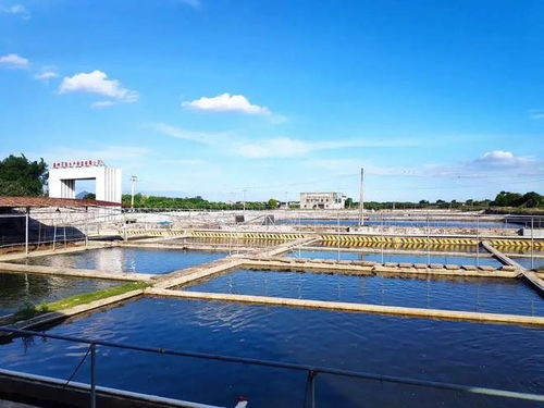 小小高州為何榮譽等身 全國百強縣85位與省內縣域經濟第一的秘密