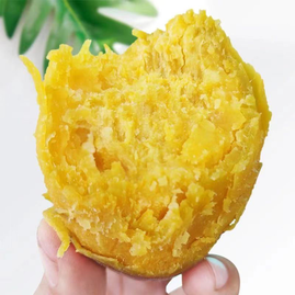 廣東茂名茂南區大鮮家農產品紅薯 綠色健康的地方特色