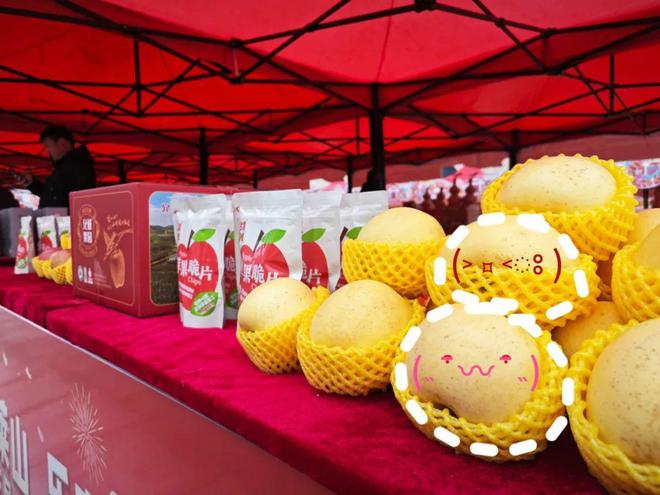 茂名 農業大市的豐收畫卷