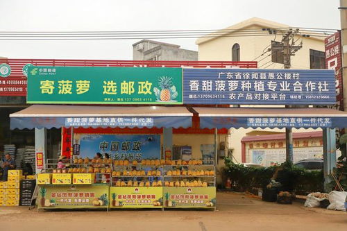 南方鄉(xiāng)投產(chǎn)品考察團(tuán)赴湛江茂名選品調(diào)研，助推茂名特色產(chǎn)業(yè)發(fā)展