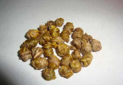 石斛（斗楓/紙皮）價(jià)格、廠家與圖片——茂名市場指南